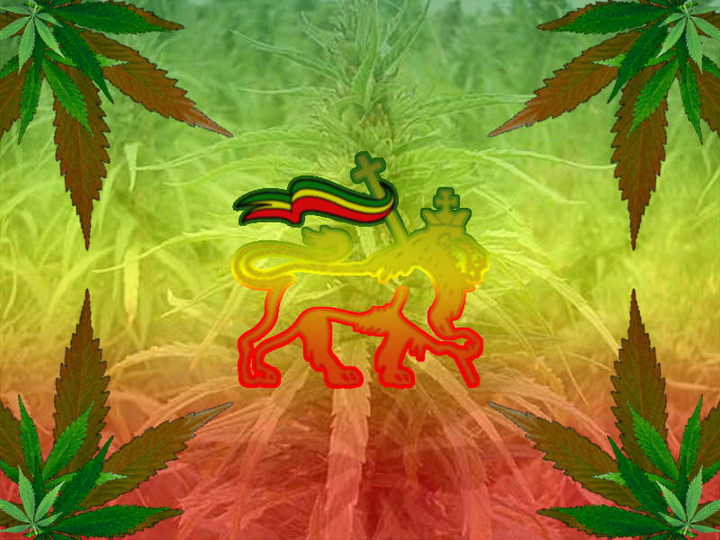 marijuana-rasta-800x600-wallpaper-608570.jpg