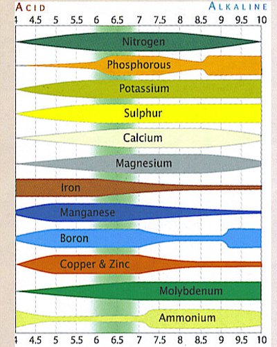 marijuana-soil-ph.jpg