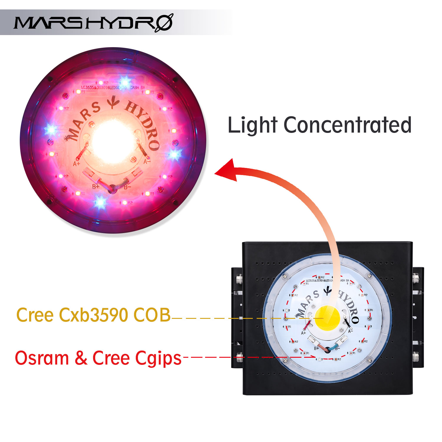 Mars Hydro COB led grow lgiht 2 CXB3590 chip.jpg