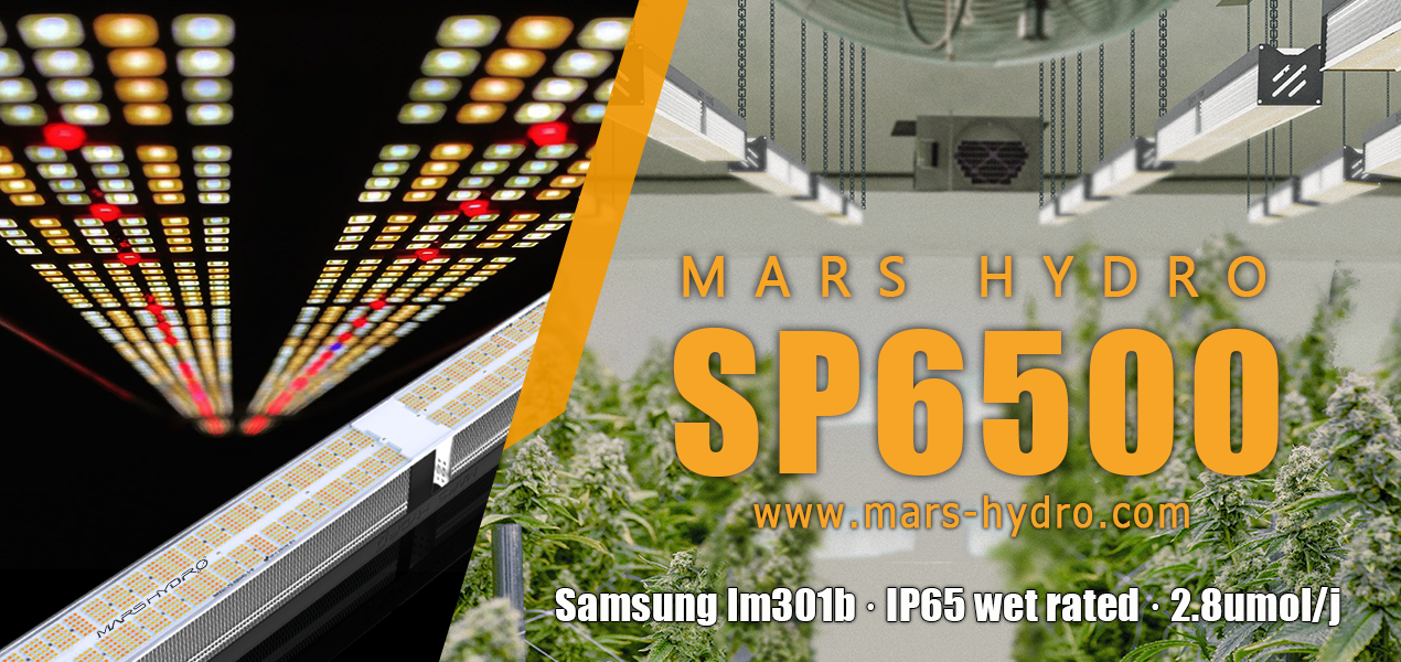 mars hydro grow journal contest 2021-sp 6500 led grow light.png