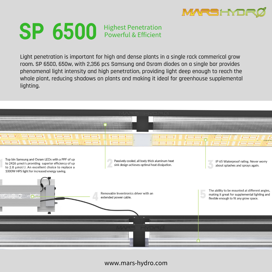 Mars Hydro SP 6500 LED grow light.png