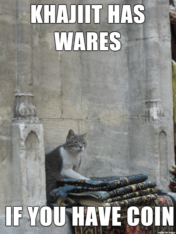 meme-photo-caption-khajiit-has-wares-if-you-have-coin-made-on-imgur.png