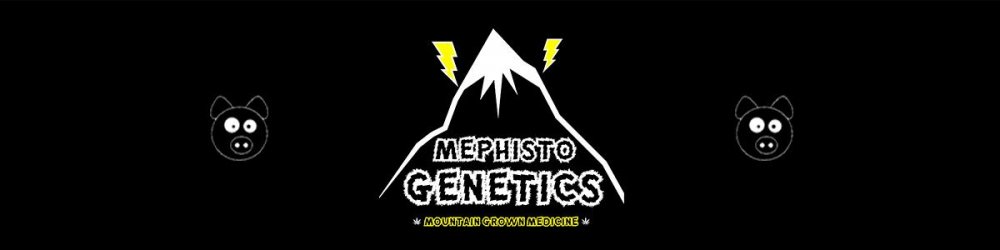 mephisto-genetics_1_brand_full.jpg