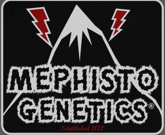 Mephisto Logo.png