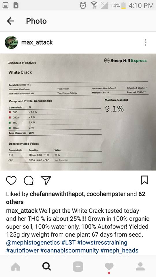 Mephisto THC test 1.jpg