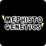 mephisto_genetics_breeder.png