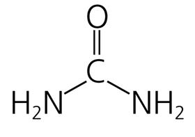 molecule.jpg