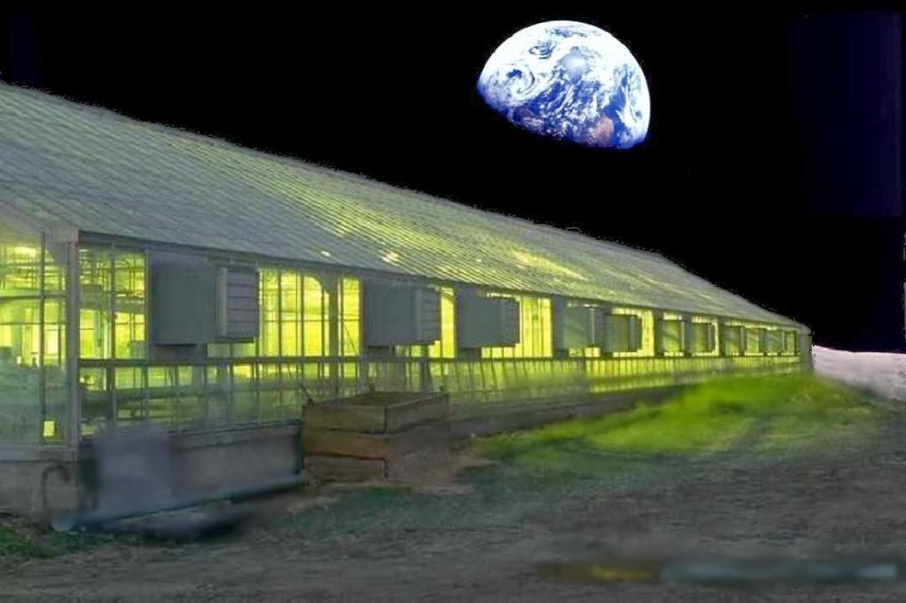 moon-greenhouse.php.78325619283742385_ldfeghiuryyryryr7837323290urhjdaokbhxckv.jpg