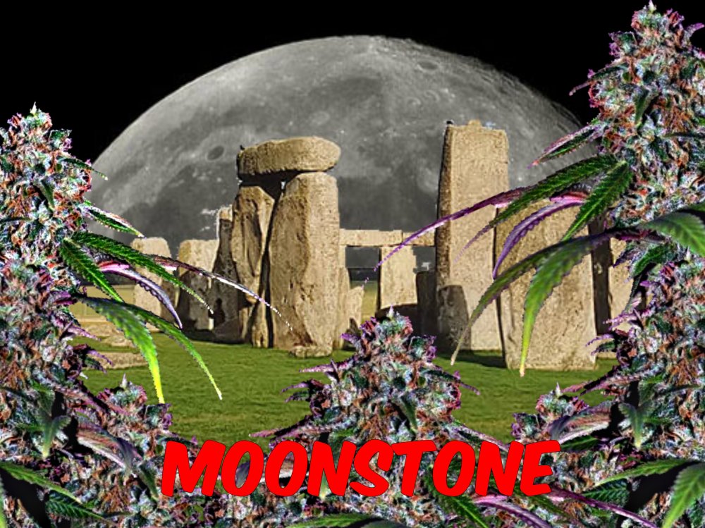 Moon Stone Henge.jpg