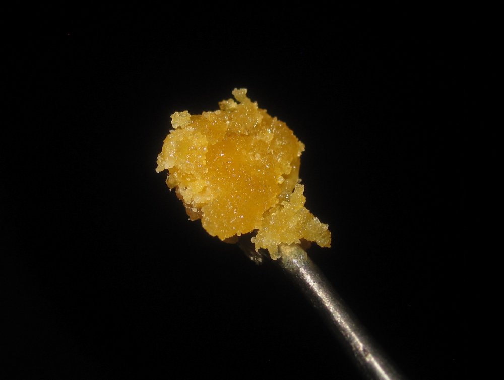 moonrosin.JPG