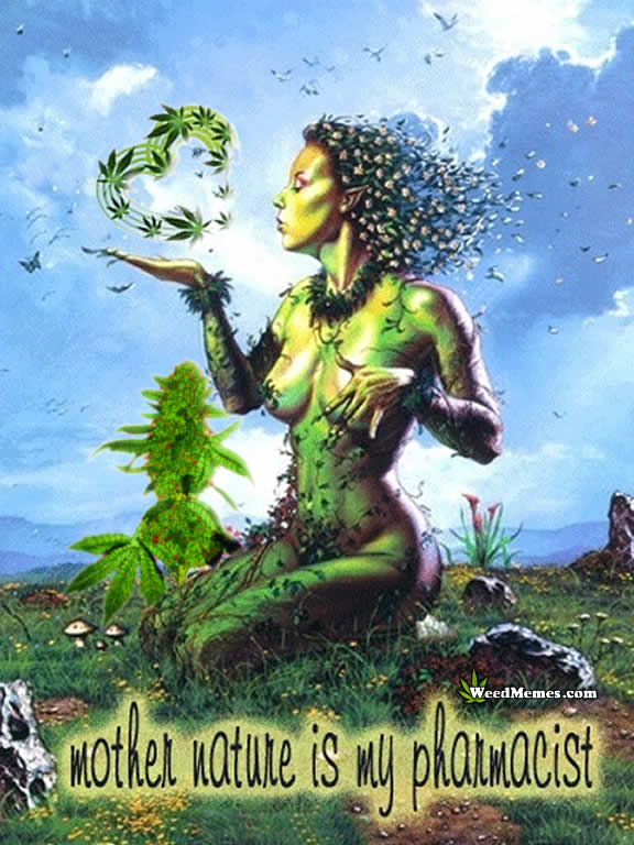 mother-nature-pharmacist-weed-memes.jpg