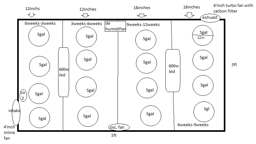 my grow room 5x5.png