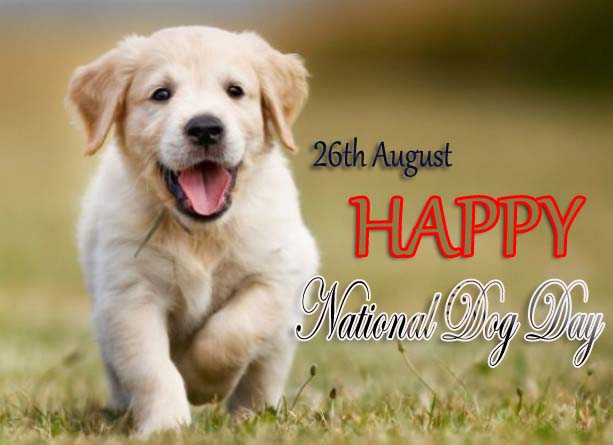 National-Dog-Day-2019.jpg