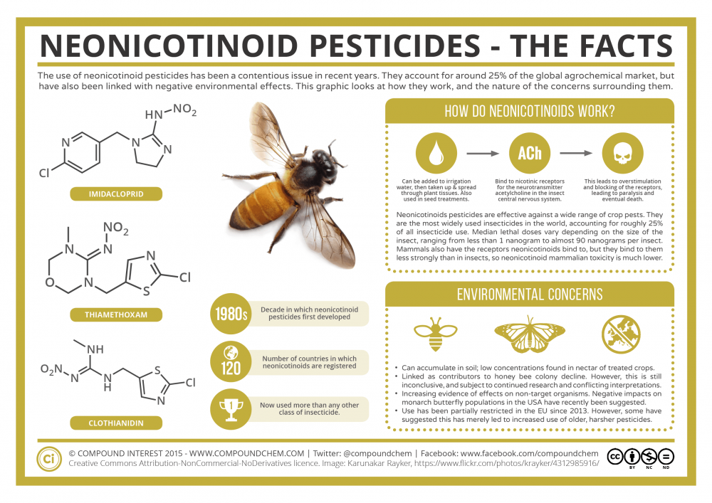 Neonicotinoid-Pesticides-Their-Effect-on-Bee-Colonies-The-Facts.png