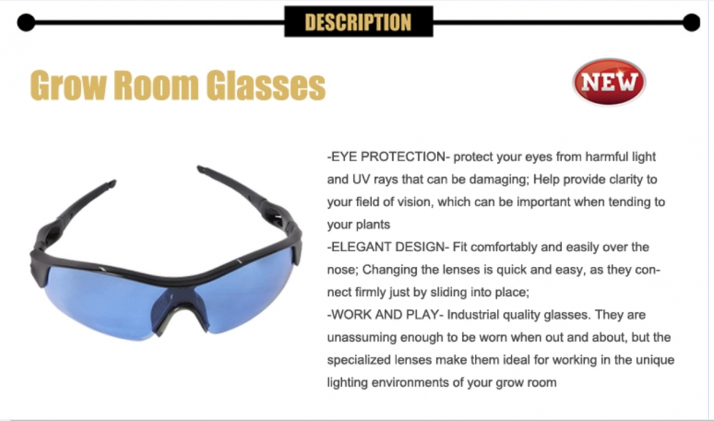 new glasses info.png