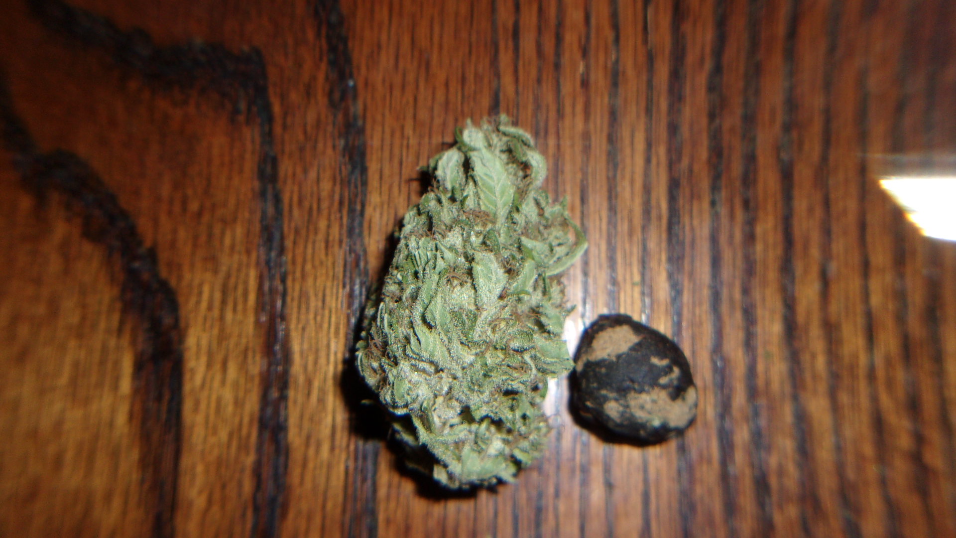 Northern Lights & Buble hash.JPG