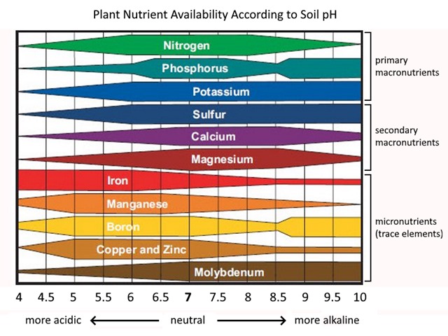 nutrientavailabilitysoilphchartdetailed.jpg