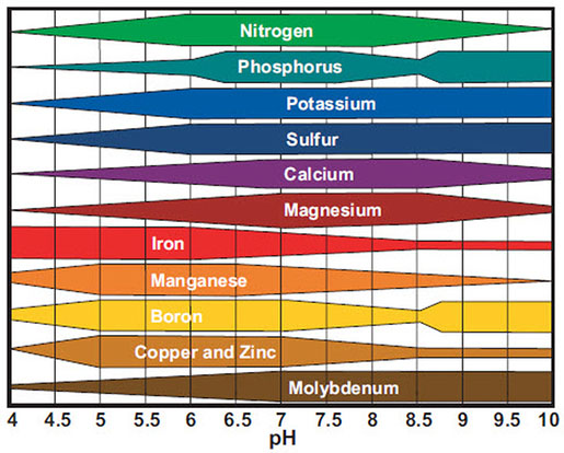 Nutrients-and-pH.jpeg