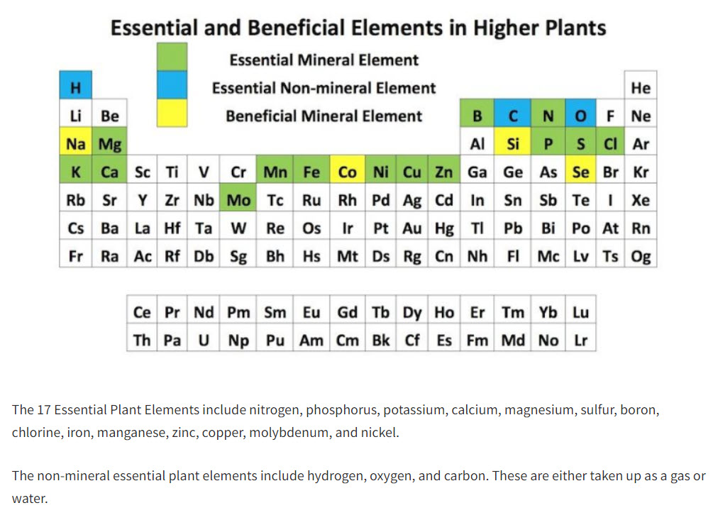 nutrientsoeriodictable.jpg