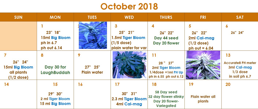 Oct21-calendar.jpg