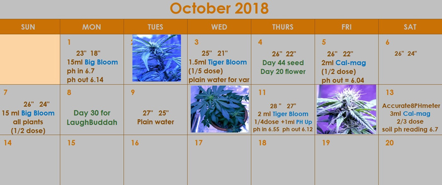 October CalendarSm.JPG