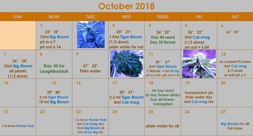 October CalendarSm.JPG