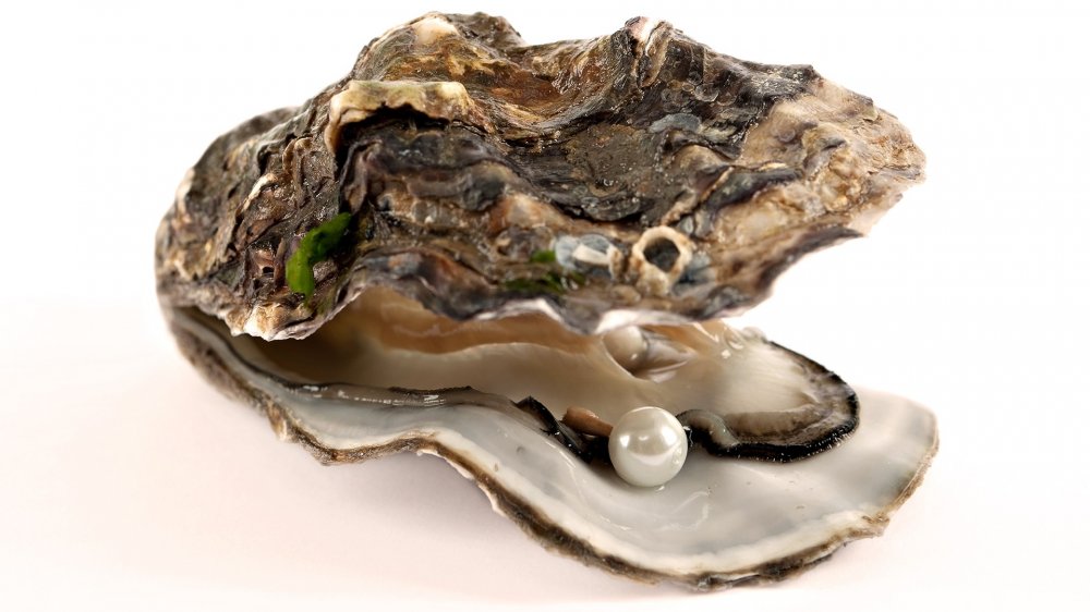 oysterpearl-957039.jpeg