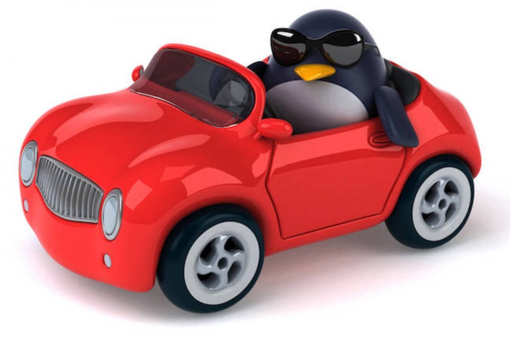 penguin_in_a_car_shutterstock.jpg