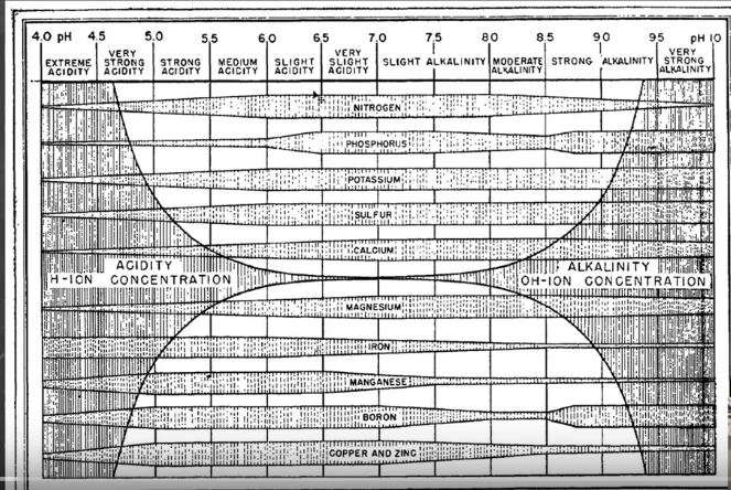 ph chart.JPG