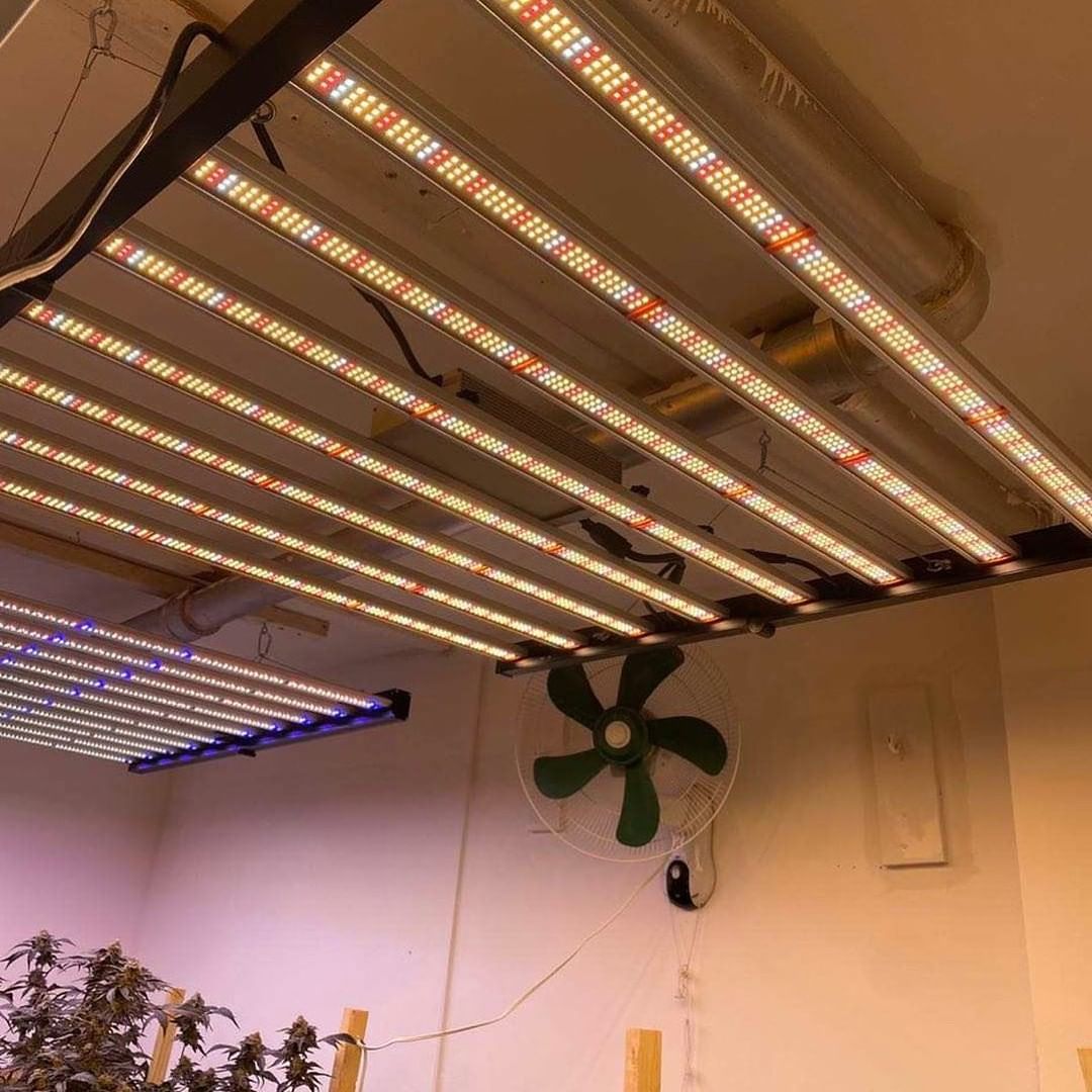 phlizon_led_grow_light (69).jpg