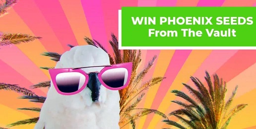 Phoenix-Seeds-Giveaway.jpg