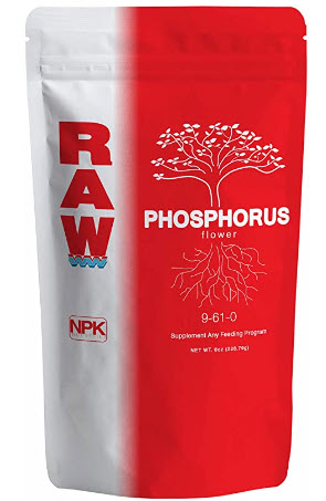 Phosphorous.jpg