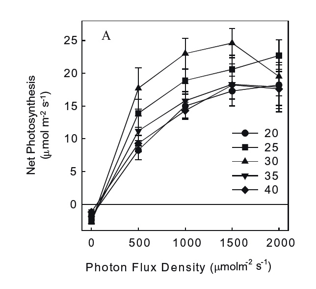 Photosyntesis under different temps and intensities (1).jpg