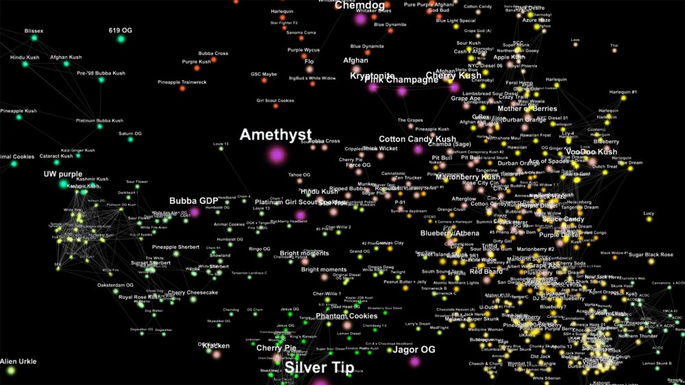 phylos-bioscience-galaxy-zoom.jpg