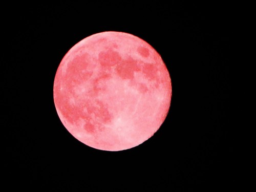 Pink-Moon-500x375.jpg