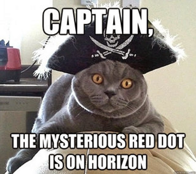 pirate cat 1.jpg