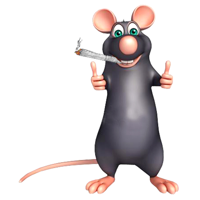 pot-smoking-rat.jpg