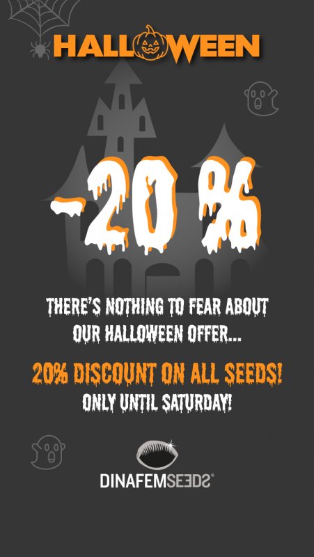 promo-halloween-2019-DNF-IG.jpg