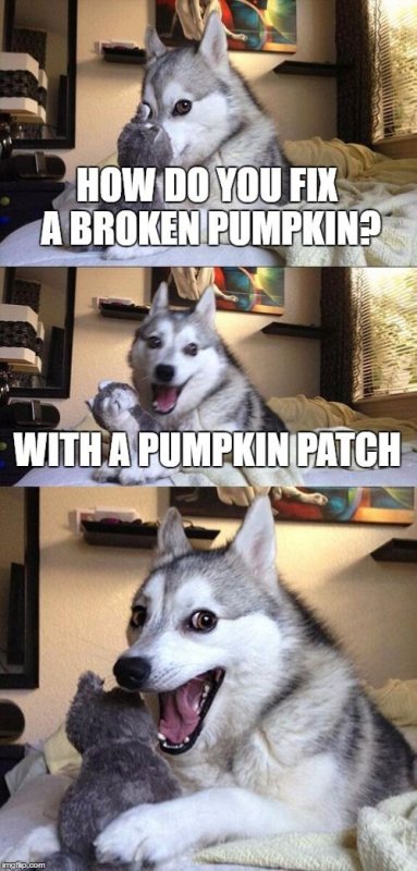 pumpkinpatch.jpg