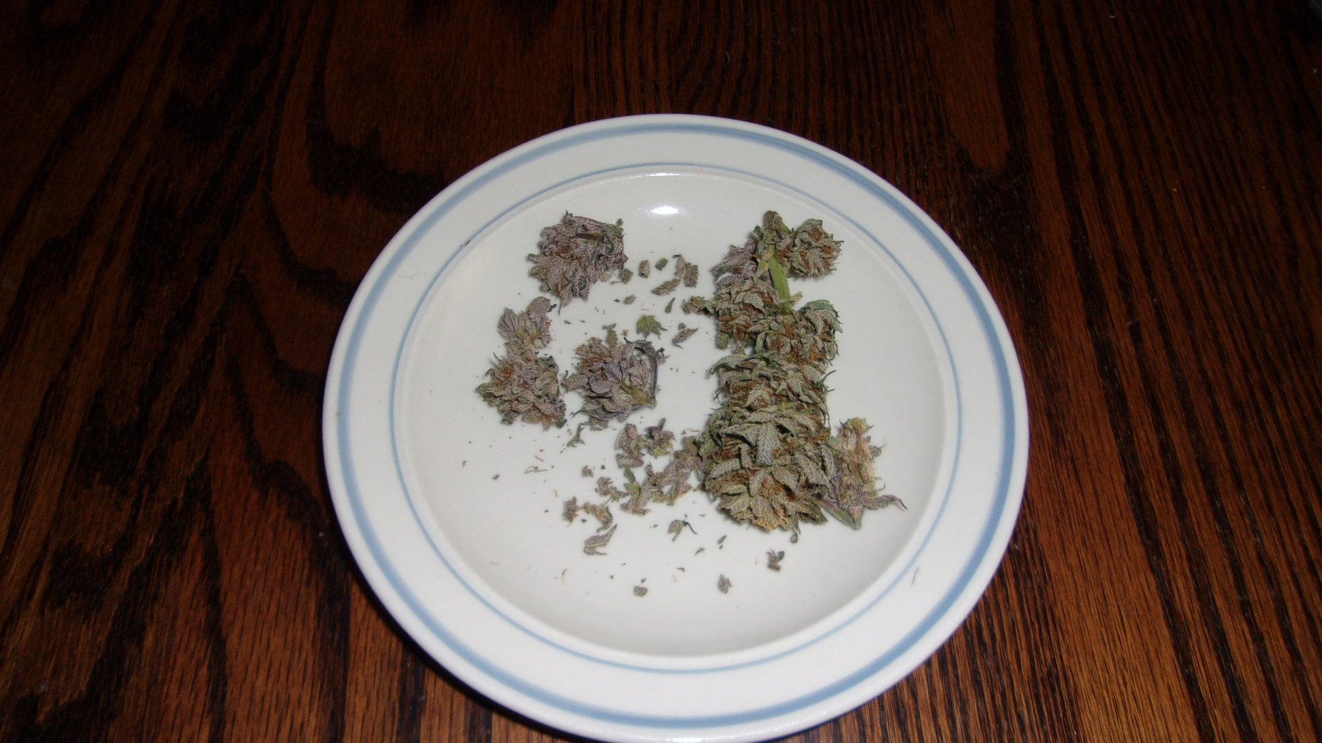 Purple Kush.JPG