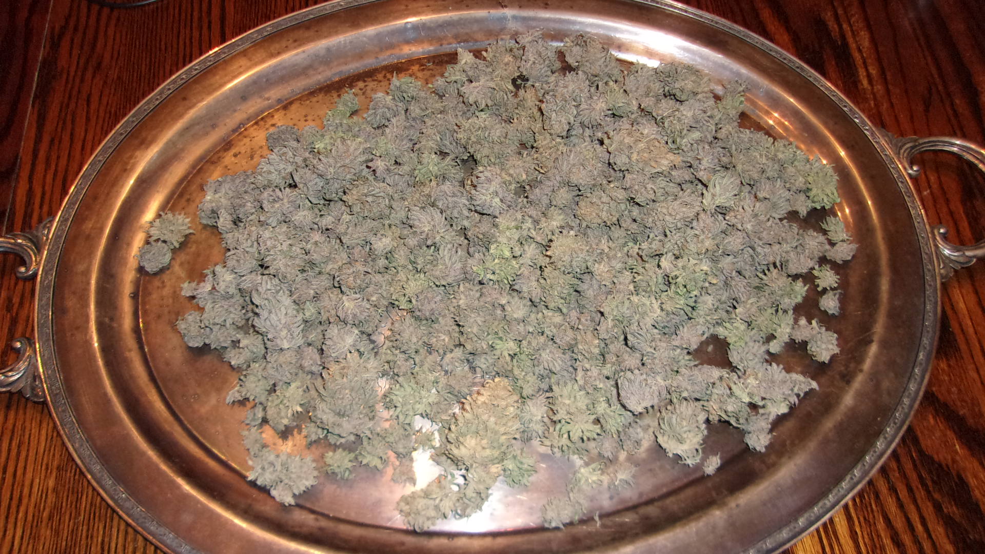 Purple Kush on a silver platter.JPG