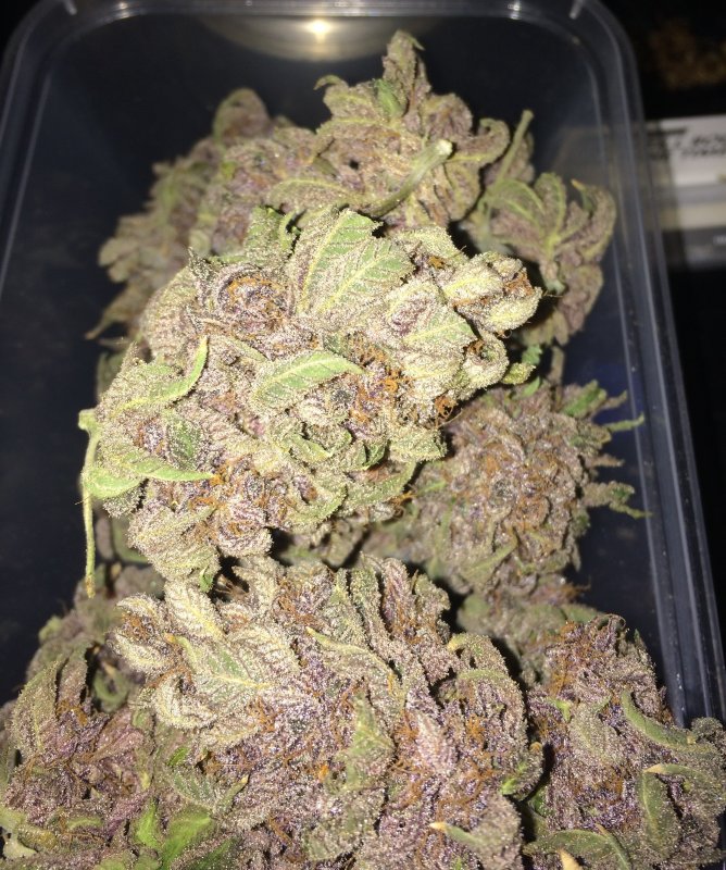 purple nuggets 71.85g.JPG