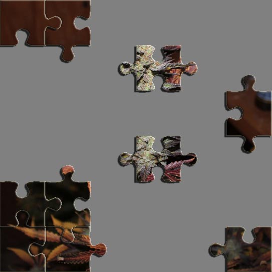 Puzzle10.jpg