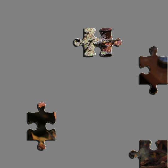 Puzzle4.jpg