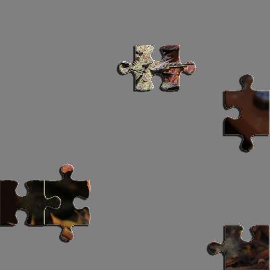 Puzzle5.jpg