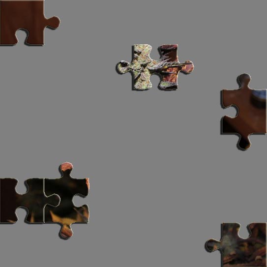 Puzzle6.jpg