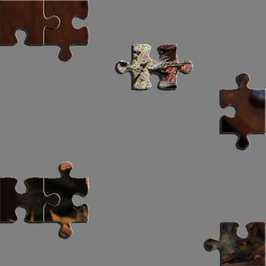 Puzzle7.jpg