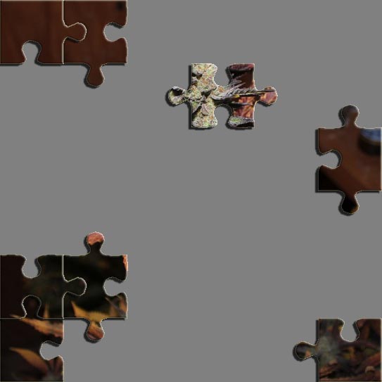 Puzzle8.jpg