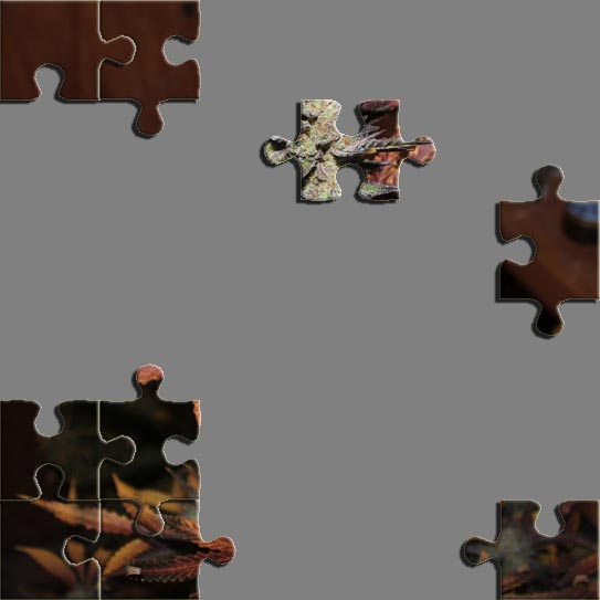 Puzzle9.jpg