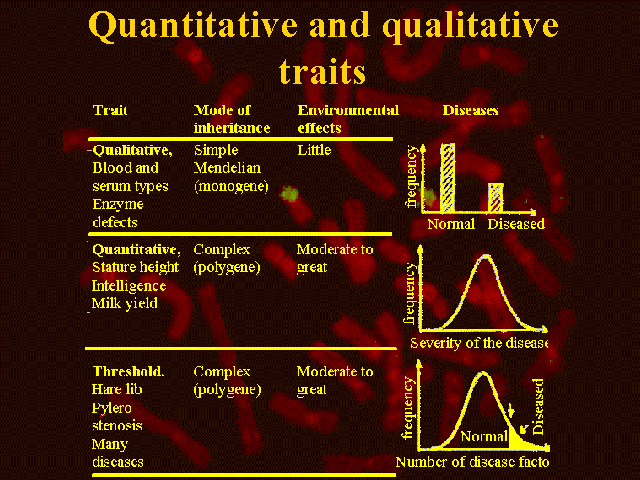 qual vs qan.GIF